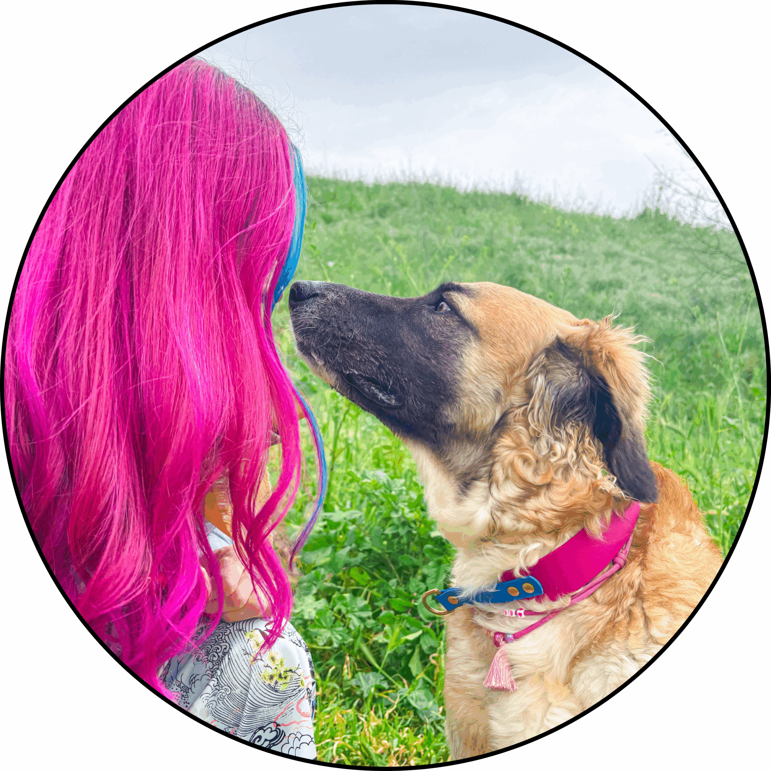 Luna Dog Avventure